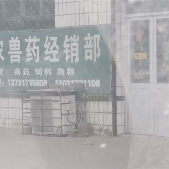 任丘市惠农宠物诊所:沧州市任丘市