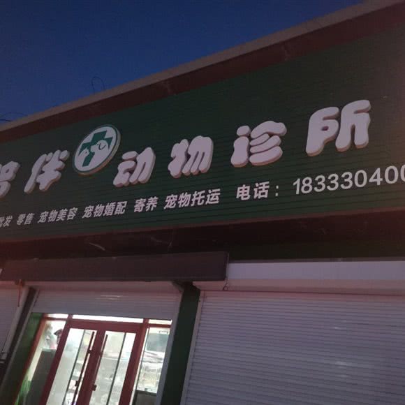 同城陪伴哺乳动物诊所:沧州市任丘市