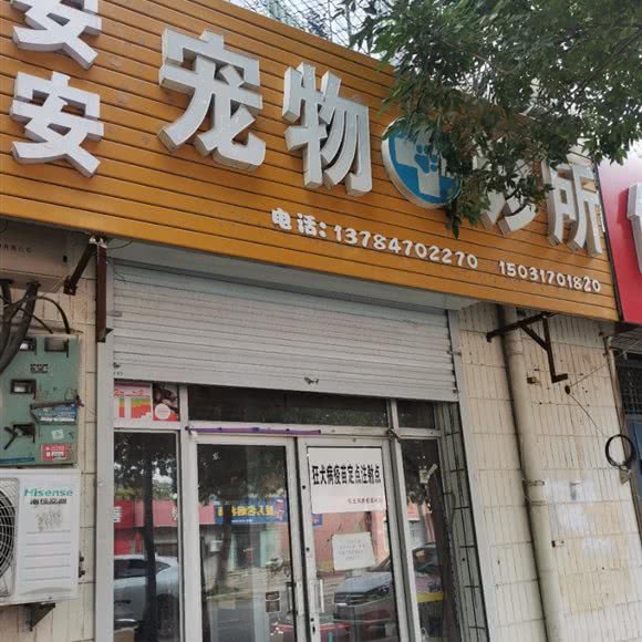 安安宠物狗诊所:沧州市任丘市