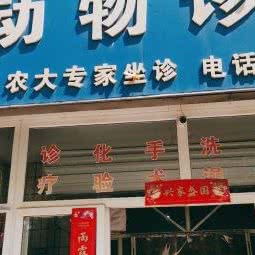 华农动物诊所:保定市莲池区省医院/客运中心附近