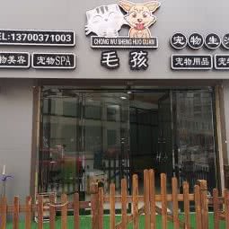 毛孩:沧州市河间市