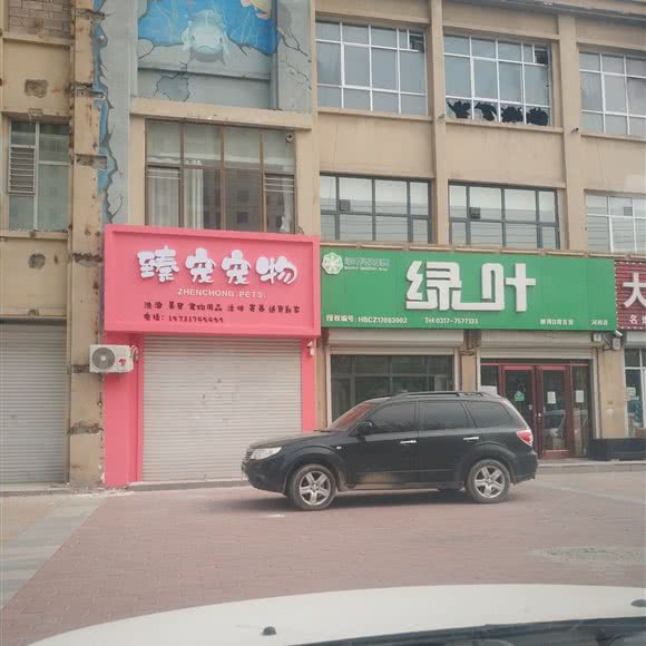 臻宠宠物:沧州市河间市