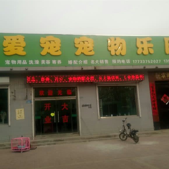 爱宠宠物乐园:沧州市河间市