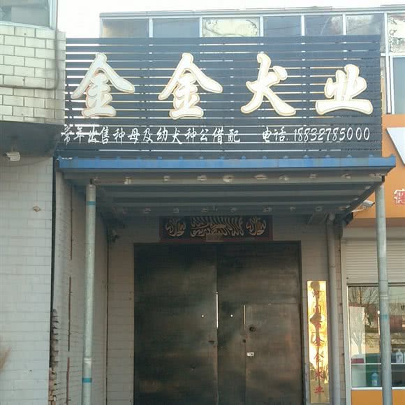 金金犬业:沧州市河间市