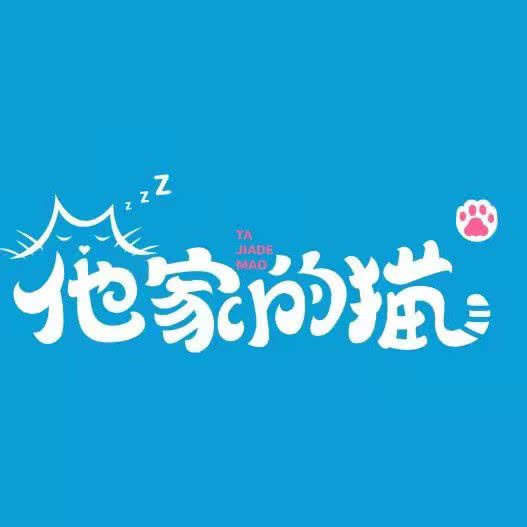 他家的猫:北京城区朝阳区管庄附近