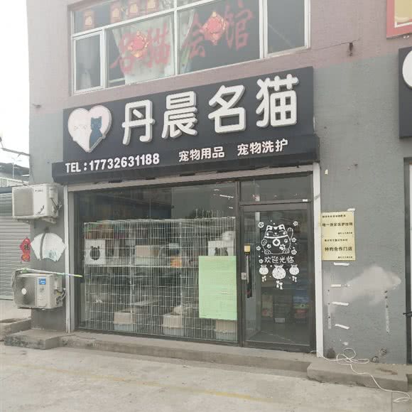 丹晨狗狗:廊坊市广阳区