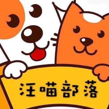 汪喵部落宠物:廊坊市广阳区