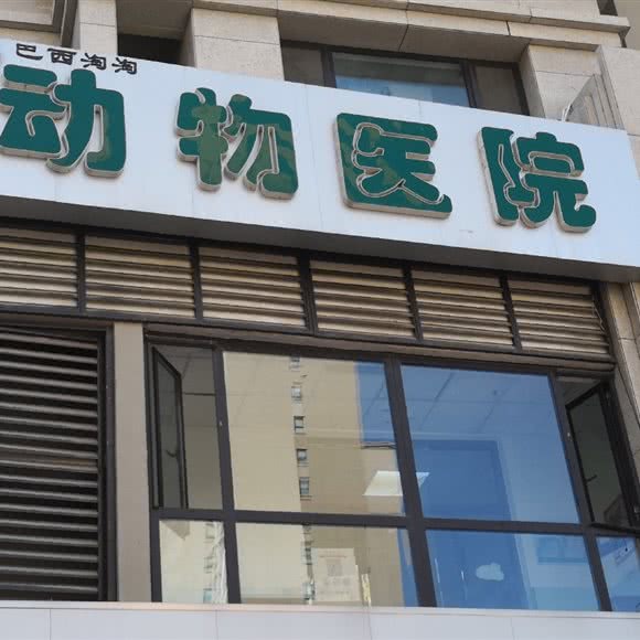 巴西淘淘动物医院:廊坊市广阳区