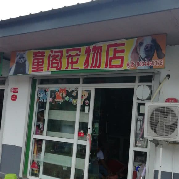 童阁宠物店:廊坊市固安县