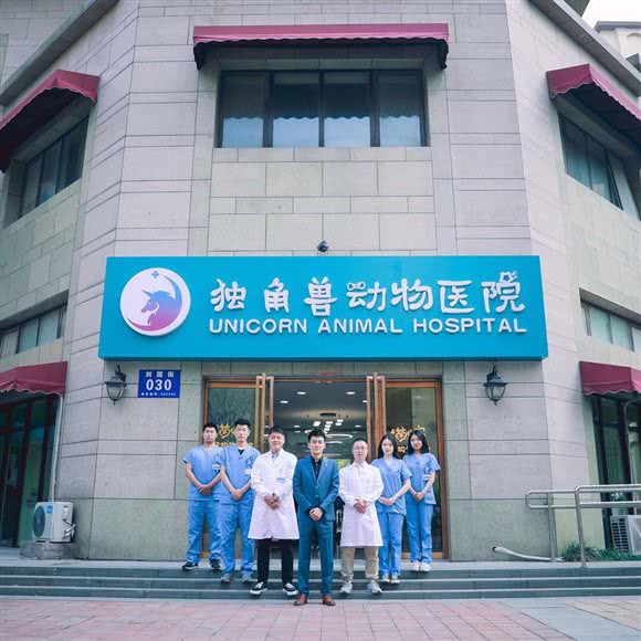 独角兽动物医院:廊坊市固安县