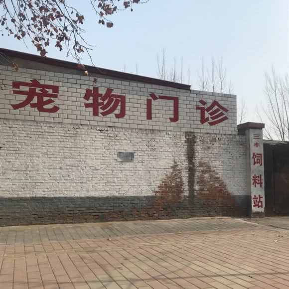 宠物门诊三丰饲料站:保定市莲池区太行路附近