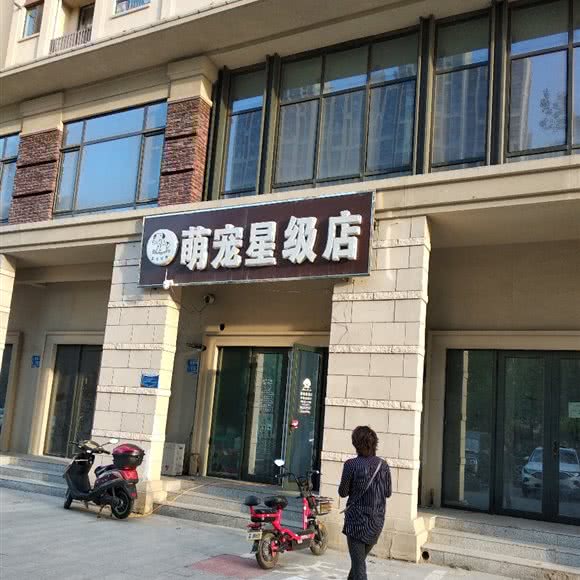 萌宠星级店:廊坊市固安县