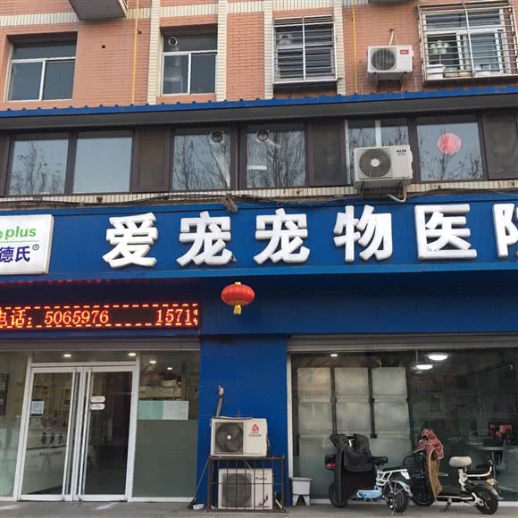 爱宠宠物医院(省监狱店):保定市莲池区华电/警官学院附近