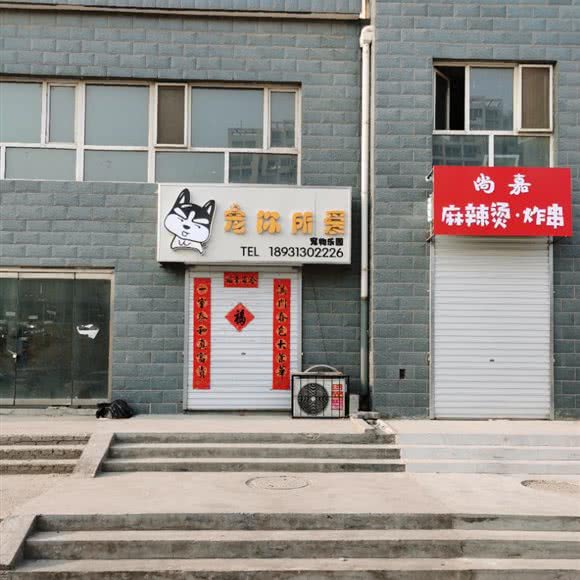 宠你所爱:保定市莲池区长城学院/焦庄附近