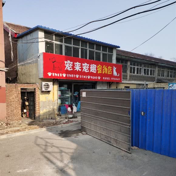 宠来宠趣宠物店:廊坊市香河县