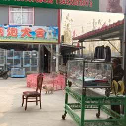 香河县宠物交易市场:廊坊市香河县