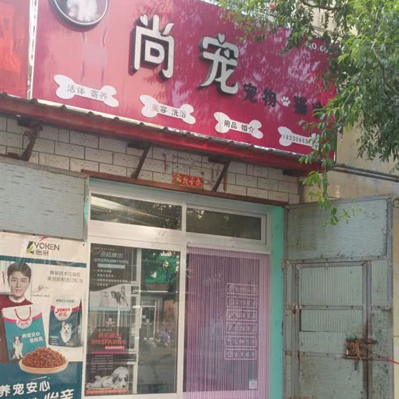 尚宠宠物猫舍:廊坊市大城县