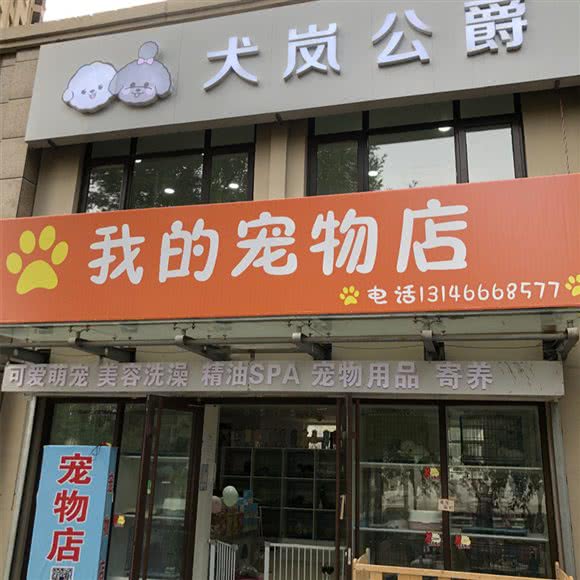 犬岚公爵我的宠物店:廊坊市大厂回族自治县