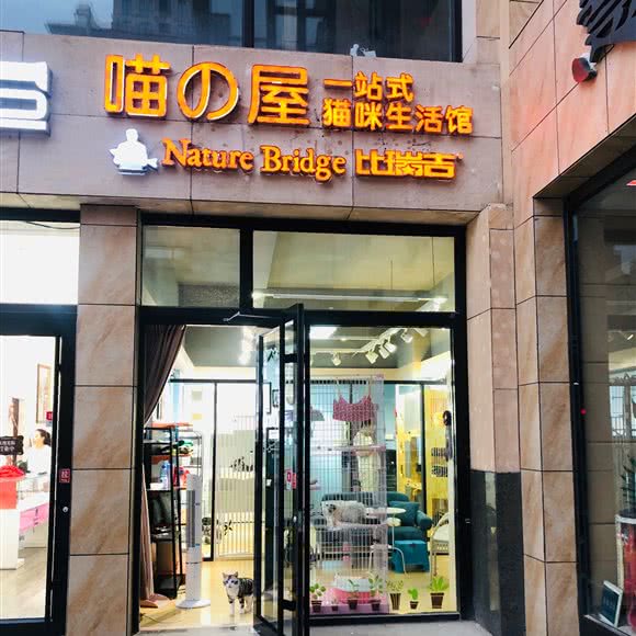 喵之屋一站式猫咪生活馆·猫咖:张家口市桥东区红旗楼附近