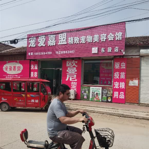 宠爱嘉盟精致宠物美容会馆(东段店):廊坊市霸州市