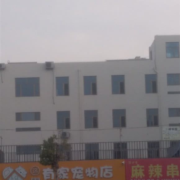 这里有家宠物店:廊坊市霸州市