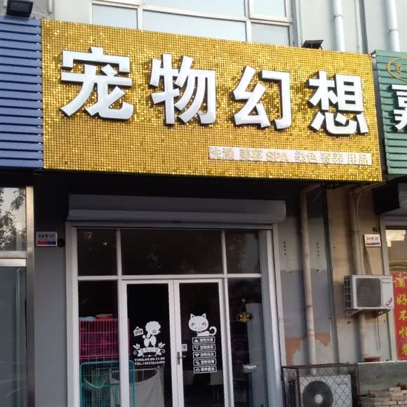 宠物幻想:廊坊市霸州市