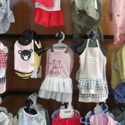 贵宾宠物(兴化中路店):廊坊市霸州市