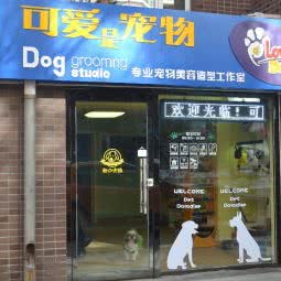 可爱是宠物:张家口市桥东区红旗楼附近