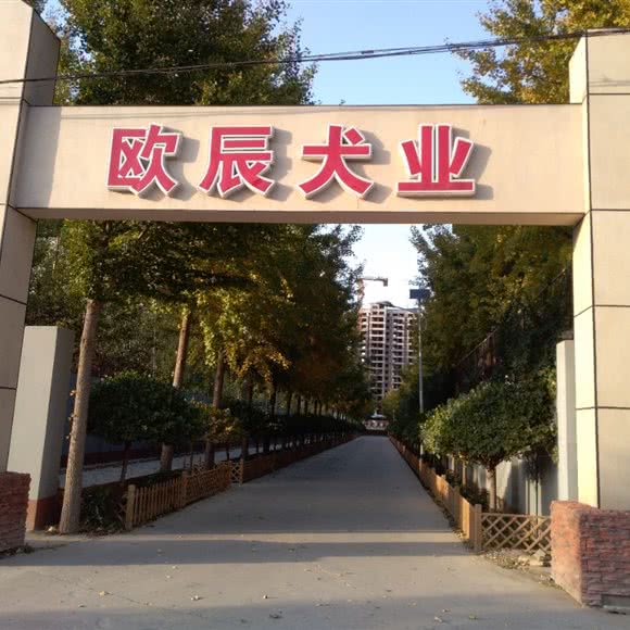 欧辰犬业:廊坊市霸州市
