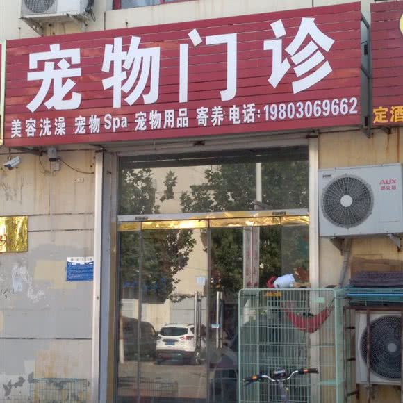 宠物门诊:廊坊市霸州市