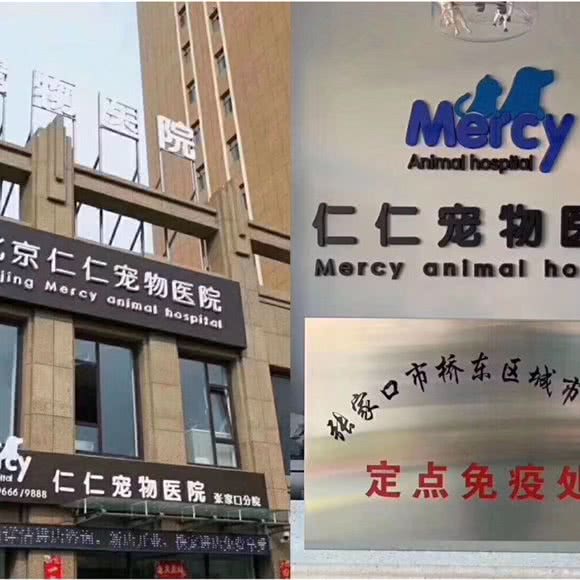 张家口仁仁宠物医院:张家口市桥东区红旗楼附近
