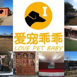 爱宠乖乖宠物训练训犬俱乐部:廊坊市三河市