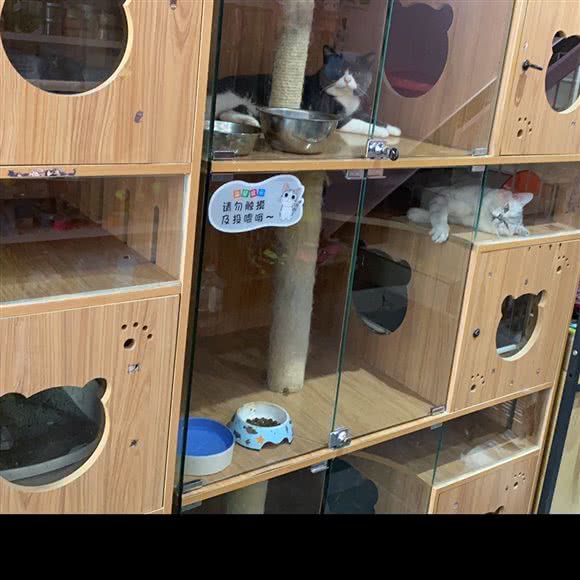 凯煦宠物店:廊坊市三河市