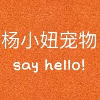 杨小妞宠物:廊坊市三河市