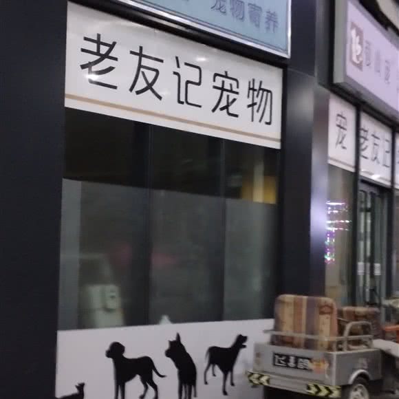 老友记宠物:廊坊市三河市