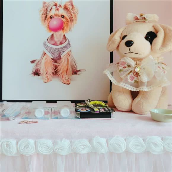 Cat&Dog猫与狗托儿所:廊坊市三河市