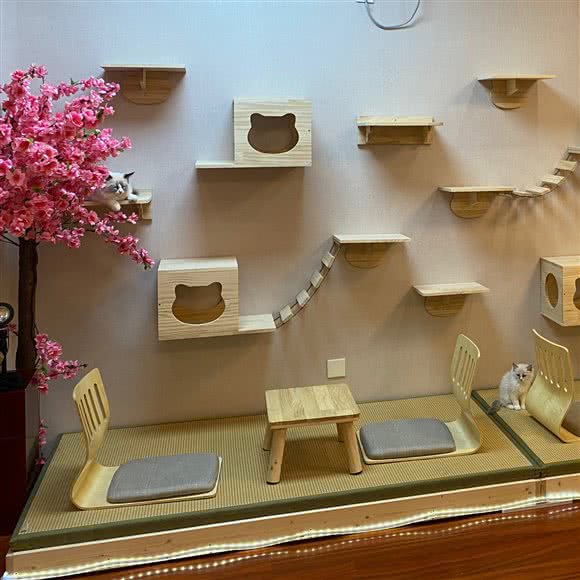 1126猫咪体验店(鑫乐汇店):廊坊市三河市