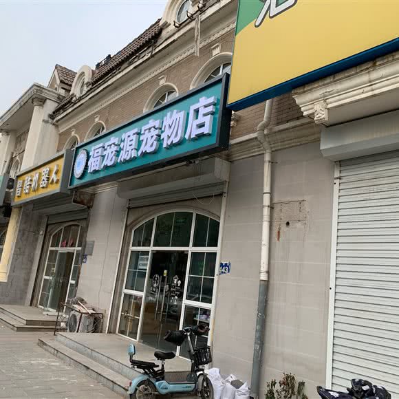 福宠源宠物店:廊坊市三河市