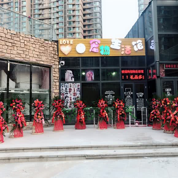 爱猫狗宠物生活馆:廊坊市三河市