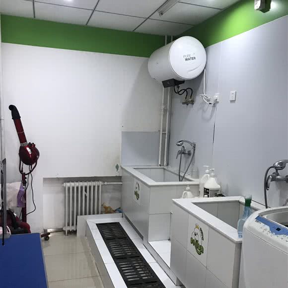 圣宠宠物(燕郊方舟广场店):廊坊市三河市