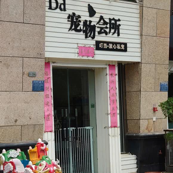 叮当·放心私宠:张家口市桥东区乐购/金鹰悦城附近