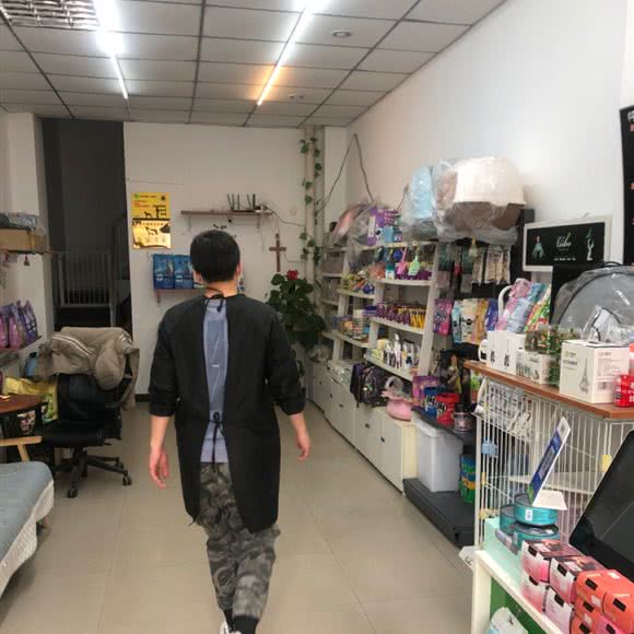 怦然宠物店:廊坊市三河市