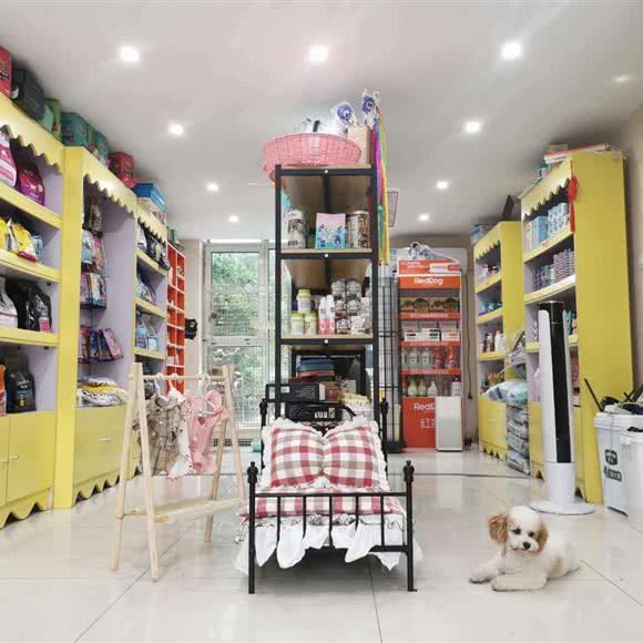 它派宠物(天洋城店):廊坊市三河市