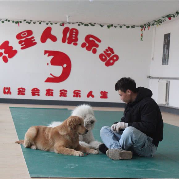 汪星人宠物训练学校:廊坊市三河市