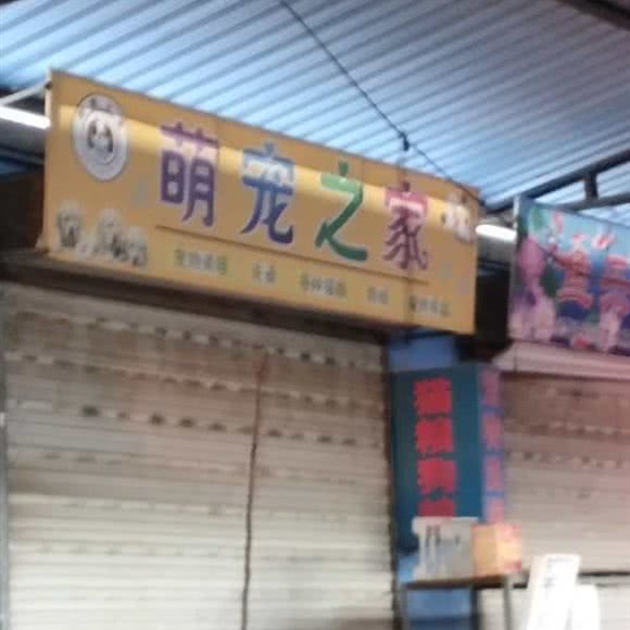 萌宠之家:廊坊市三河市