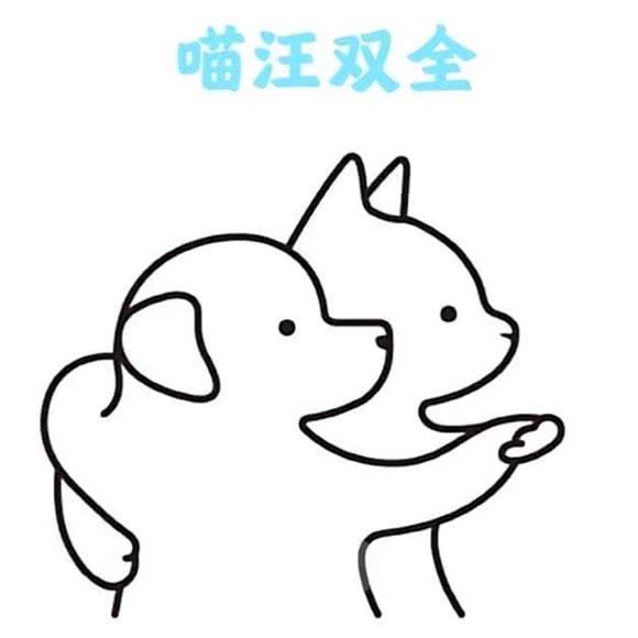 喵汪双全宠物生活馆:张家口市桥东区百盛附近