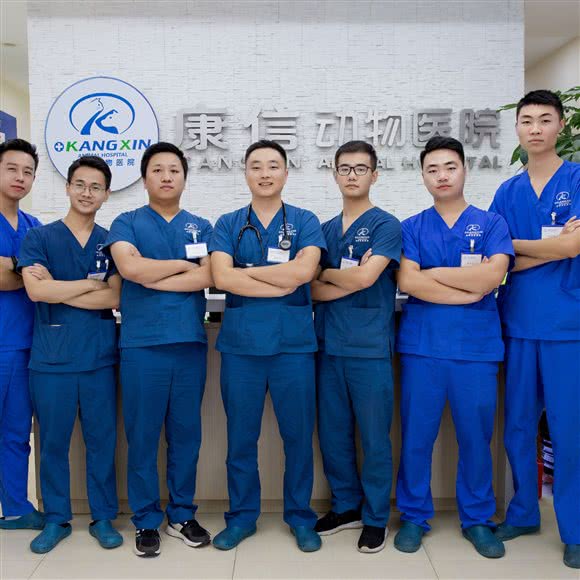 康信动物医院:廊坊市三河市