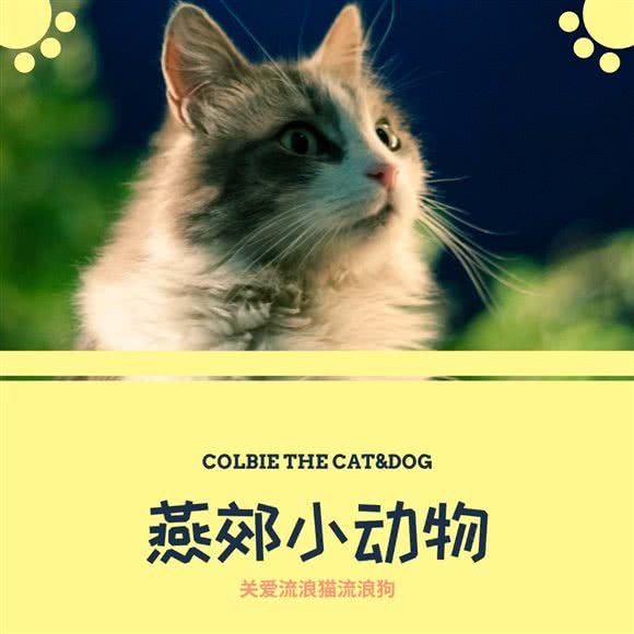 禾仕宠服·燕郊小动物(三季店):廊坊市三河市