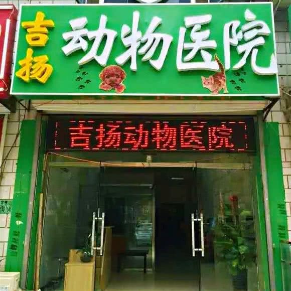 吉扬宠物诊所:廊坊市三河市