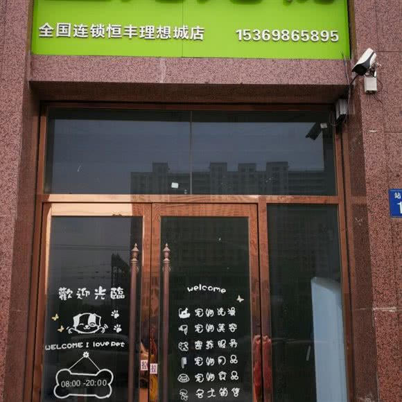 圣宠宠物:衡水市桃城区